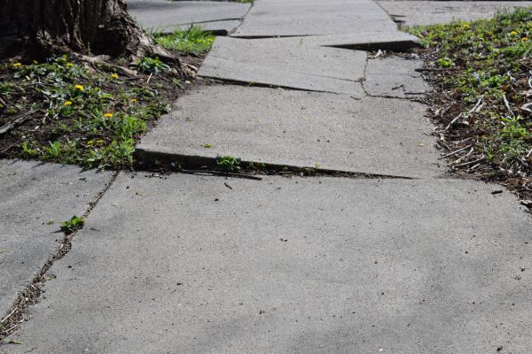 Cost of Trip Hazard Removal in College Station